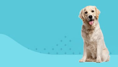 v-toy-banner-img-1-opt