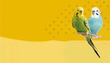 v-toy-banner-img-3-opt